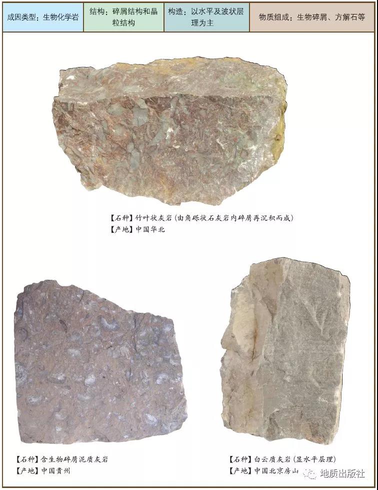 1547517720855298.jpg 6 石灰?guī)r1.jpg