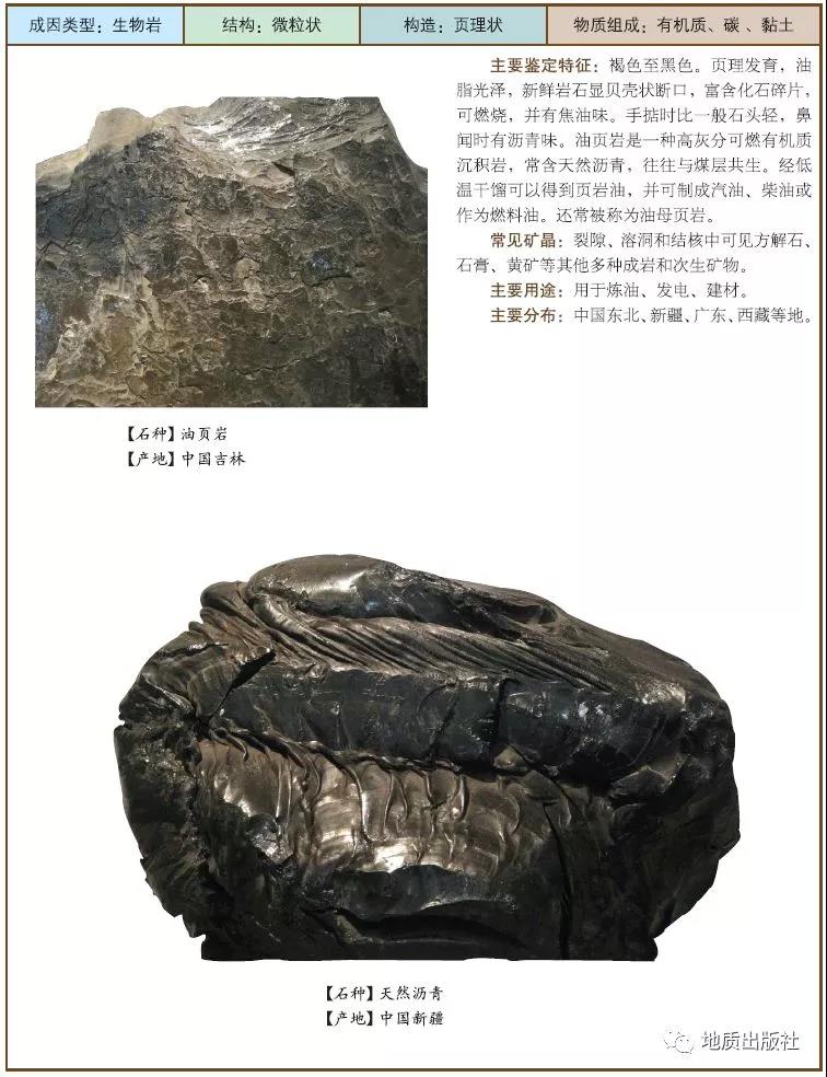 1547517760240194.jpg 10 油頁巖.jpg