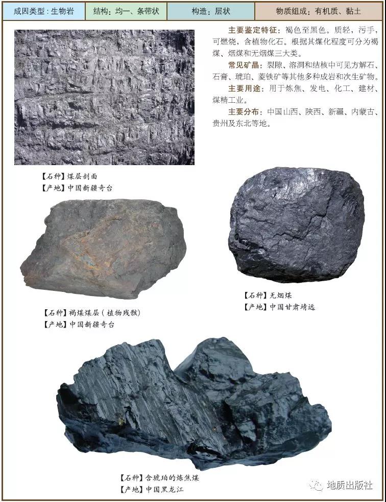 1547517770997558.jpg 11 煤.jpg