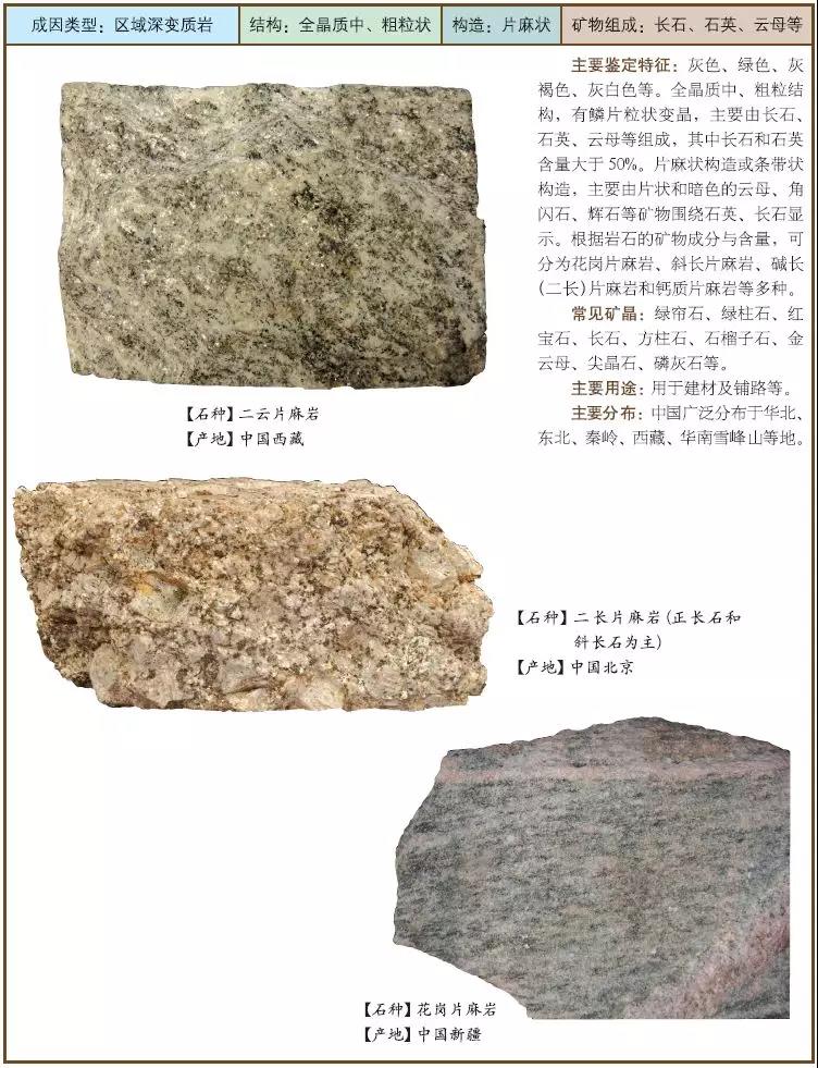 1547517809389242.jpg 4 片麻巖.jpg