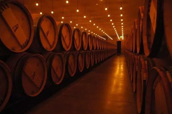 1562460571470148.jpg 33.jpg