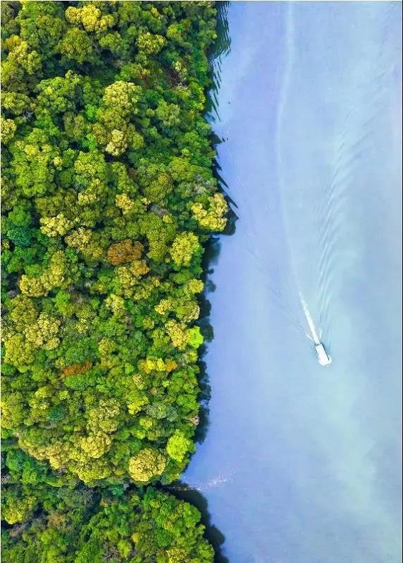 1562897522523981.jpg 1.jpg