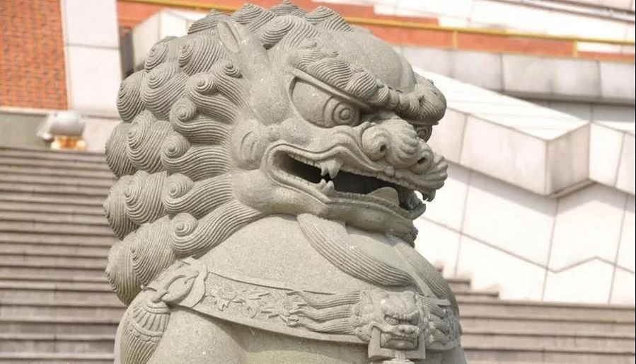 1565316836417824.jpg 10.jpg