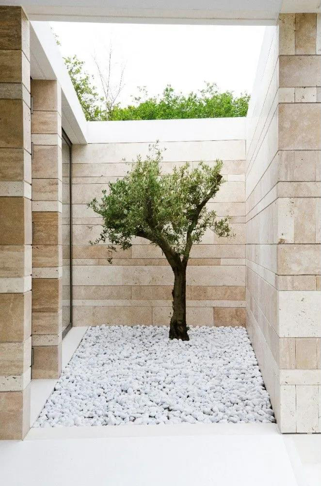 1620817146606996.jpg 5.jpg